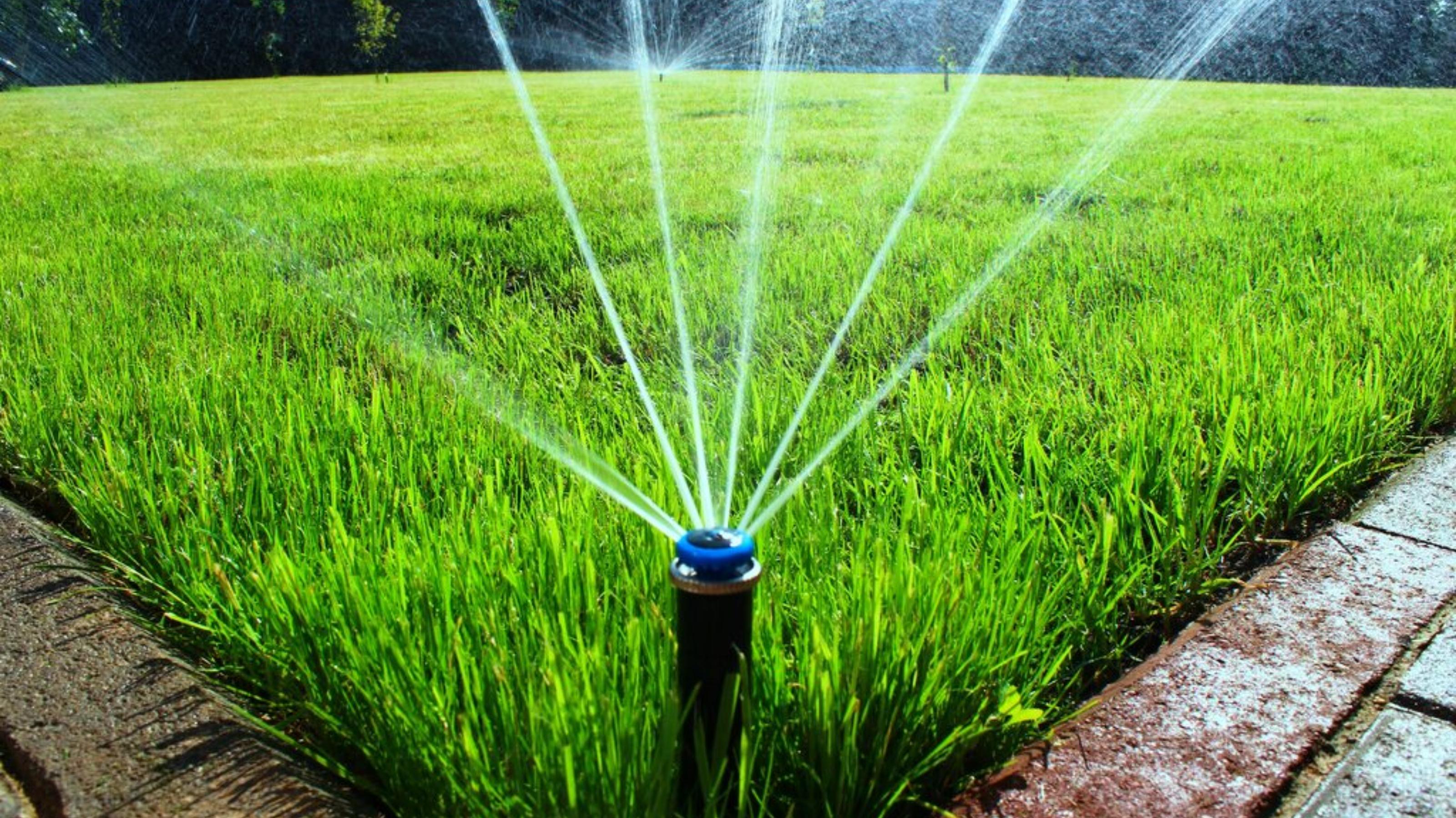 Автоматический полив растений